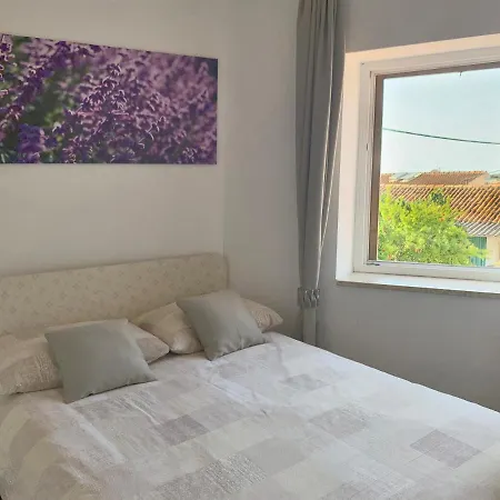 Apartman Zović Vrsar Zewnętrze zdjęcie